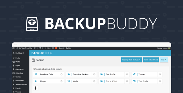 BackupBuddy (Only Premium)