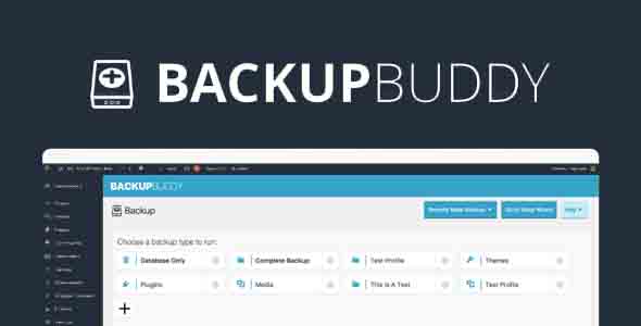 6 Best WordPress Backup Plugins for 2021 6