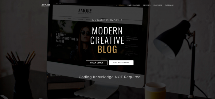 Amory WordPress Theme