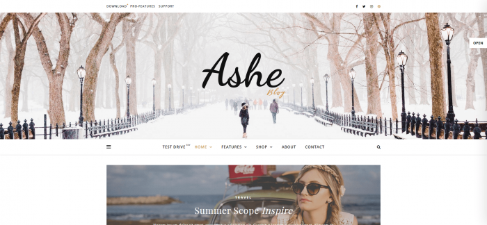 Ashe WordPress Theme