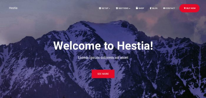 Hestia Theme | Best Elementor Themes | Climax Themes