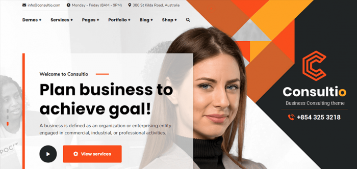 Consultio WordPress Premium Theme - Business Consulting Demo
