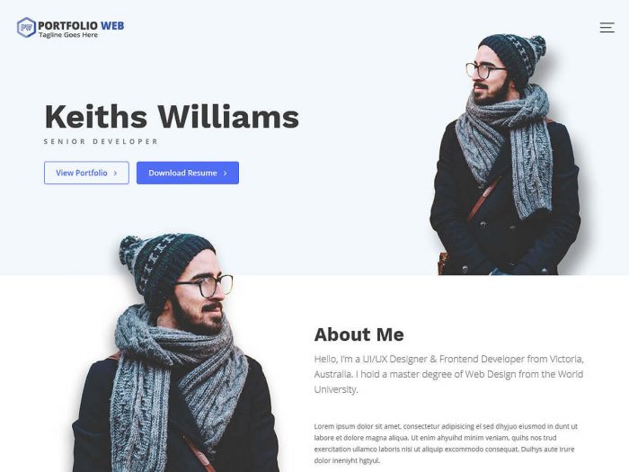 Portfolio Web Theme | Using WordPress for a Portfolio